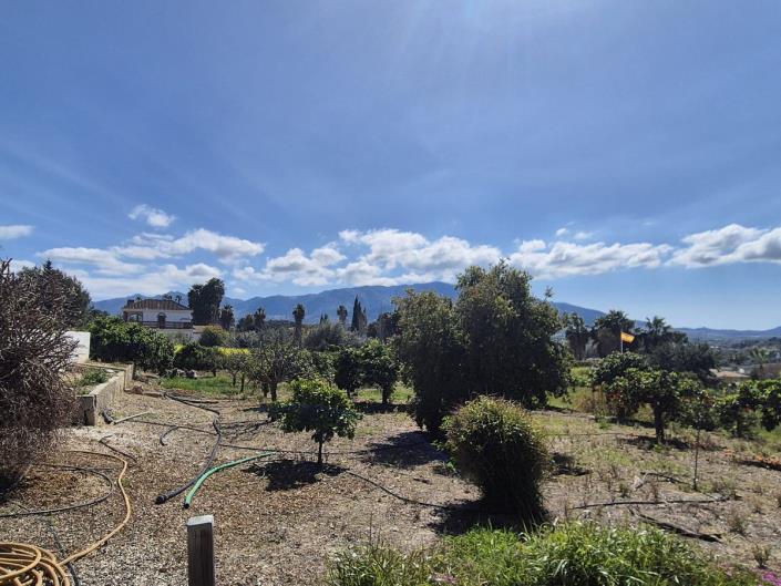 Image No.56-3 Bed Finca for sale