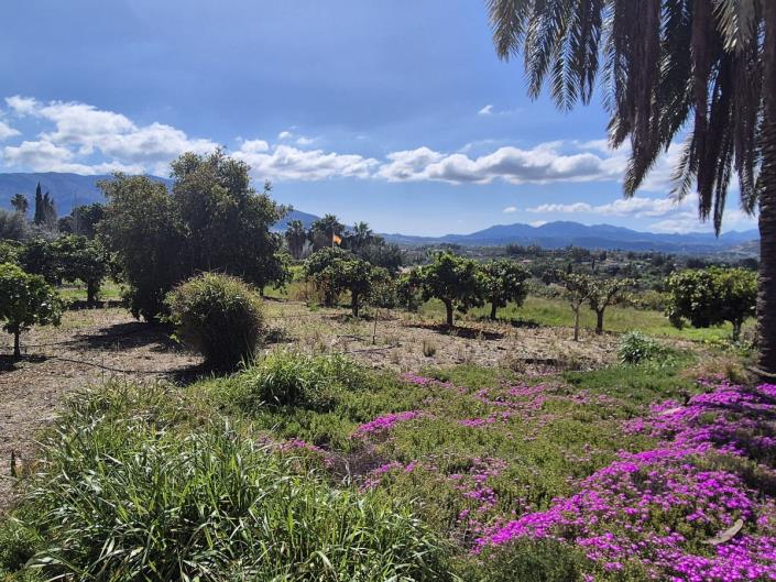 Image No.55-3 Bed Finca for sale