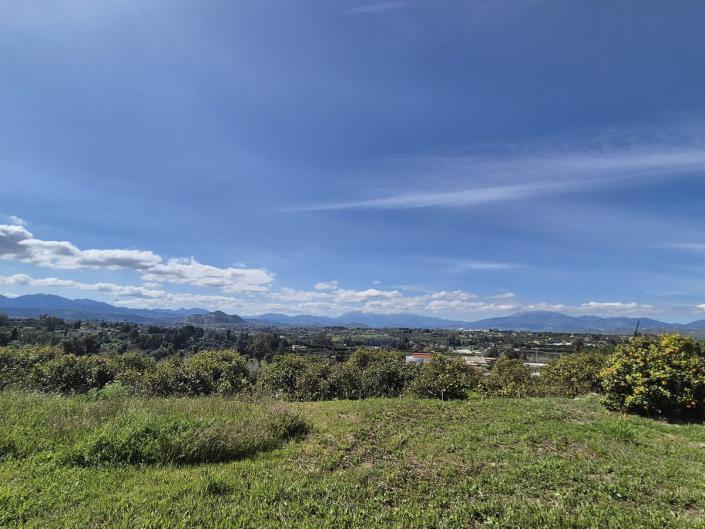 Image No.58-3 Bed Finca for sale