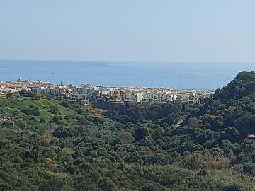 15-11d12f2f454f2f5e9b981fdd8b901d51