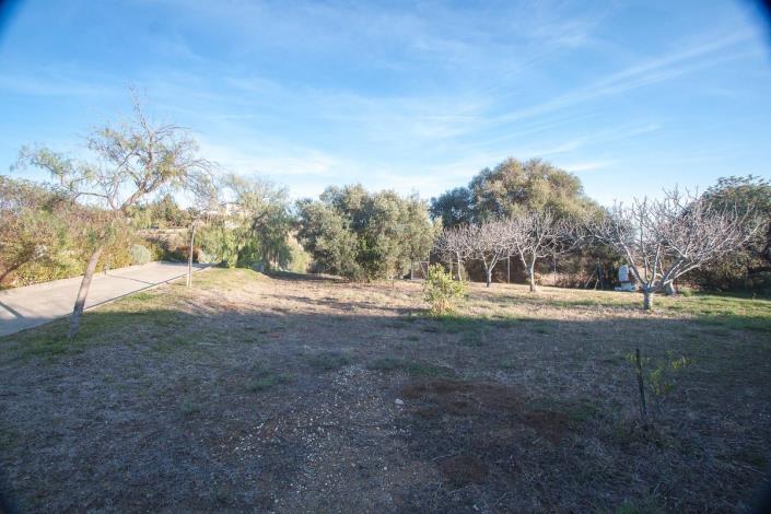 Image No.5-4 Bed Finca for sale