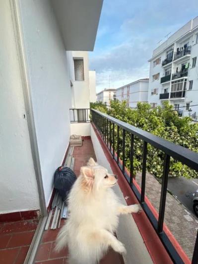 Image No.9-3 Bed Apartment for sale