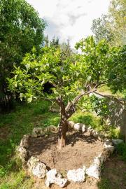 7-aa4cc561180b369757c0bb4af9886cd3