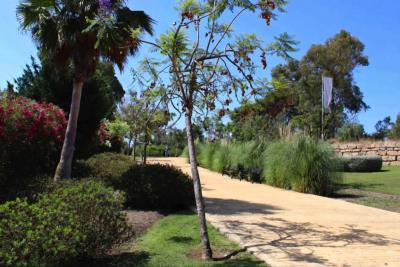 8-e64a9055bba3e77ac8aca3b893cdf826