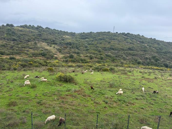Image No.34-Penthouse de 3 chambres à vendre à Estepona