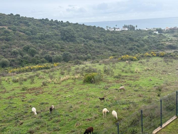 Image No.35-Penthouse de 3 chambres à vendre à Estepona