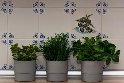 13-5fd73dea700db77384c091ca9818b1a9