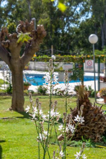 Image No.45-Appartement de 2 chambres à vendre à Torreblanca