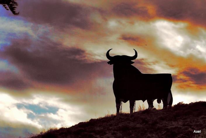 Image No.50-Appartement de 2 chambres à vendre à Torreblanca