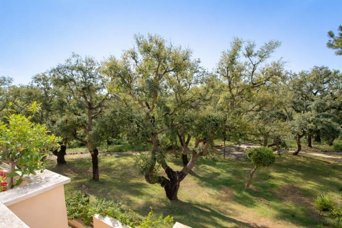 Image No.11-Appartement de 2 chambres à vendre à Elviria