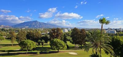 13-5fd73dea700db77384c091ca9818b1a9