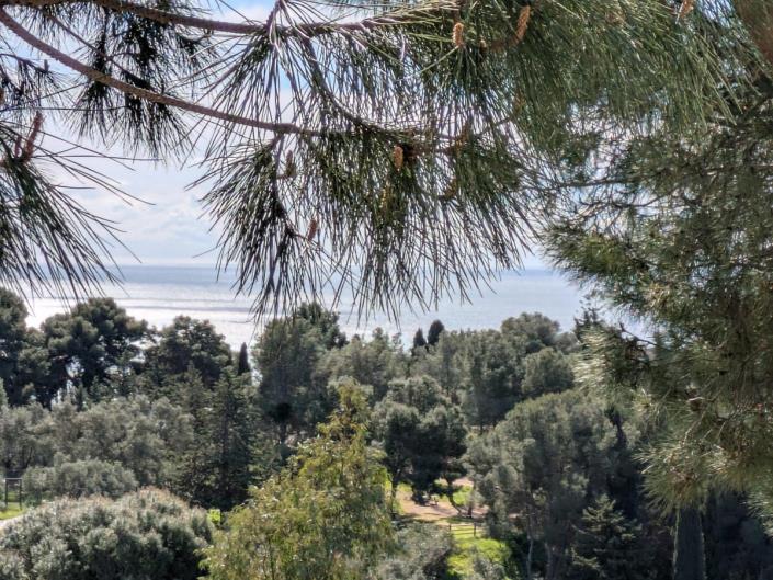 Image No.50-Villa de 4 chambres à vendre à Torremuelle