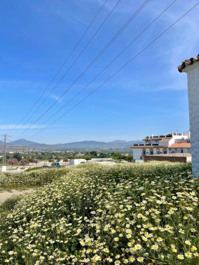 Image No.2-4 Bed Townhouse for sale