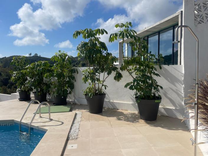 Image No.8-3 Bed Villa for sale