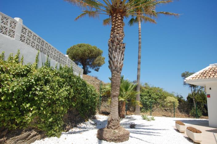 Image No.52-3 Bed Villa for sale