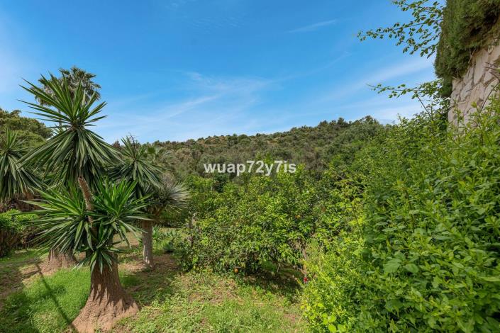 Image No.21-3 Bed Villa for sale