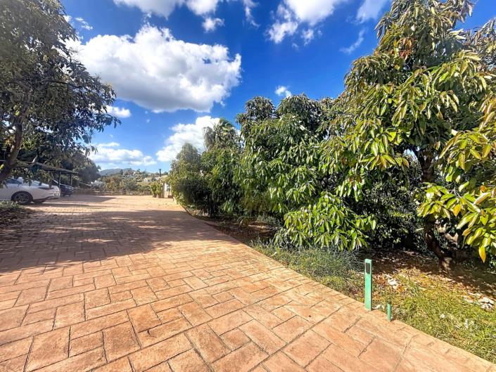 Image No.39-3 Bed Finca for sale