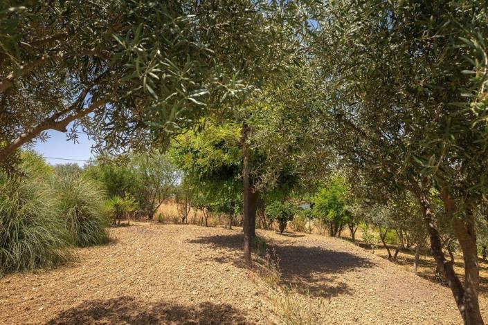 Image No.8-3 Bed Villa / Detached for sale