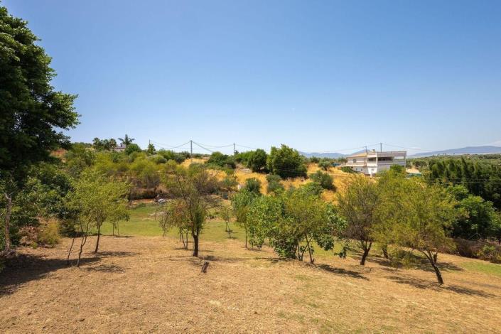 Image No.24-3 Bed Villa / Detached for sale