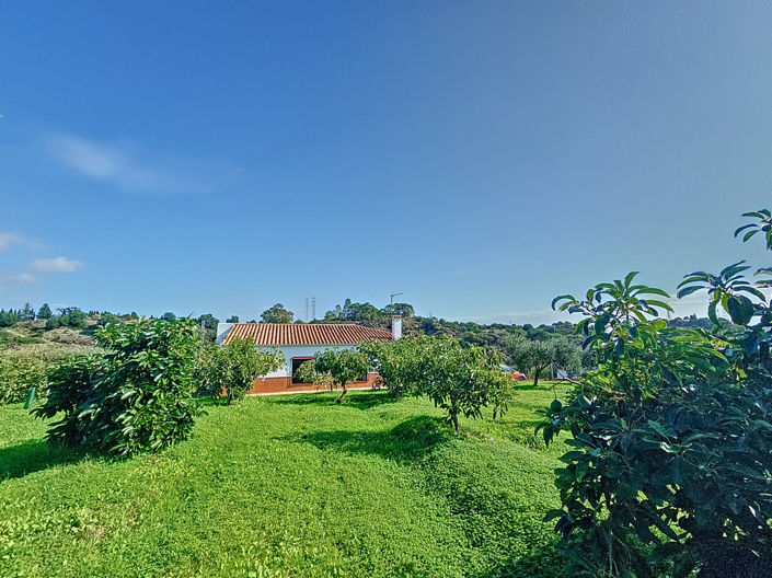 Image No.2-3 Bed Finca for sale