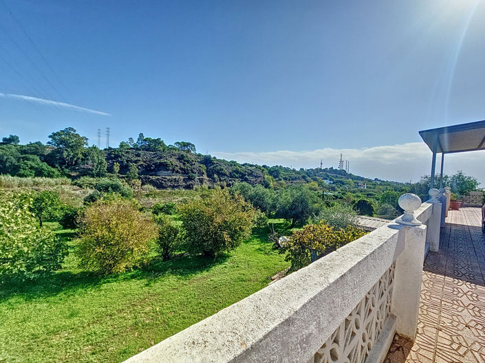 Image No.24-3 Bed Finca for sale