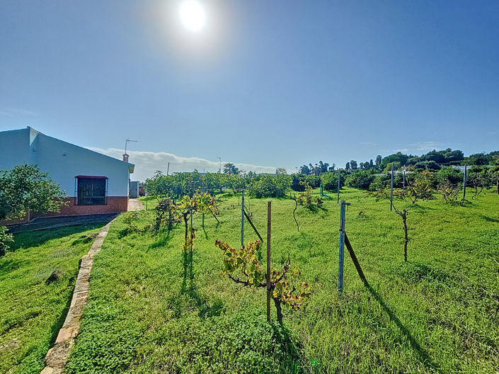 Image No.26-3 Bed Finca for sale