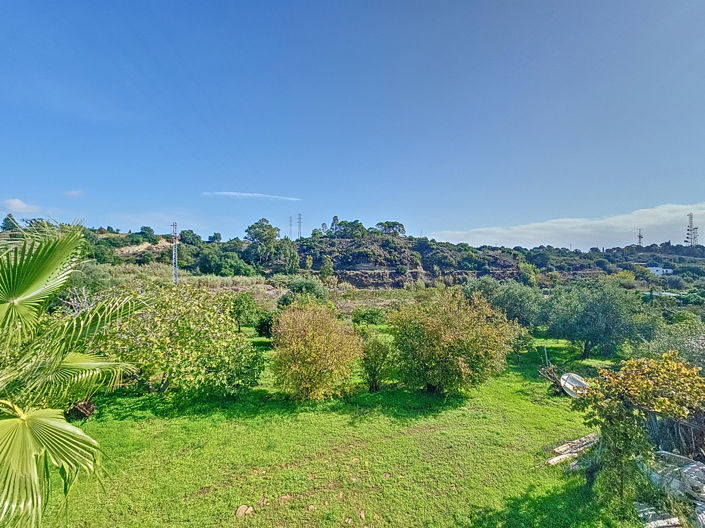 Image No.28-3 Bed Finca for sale