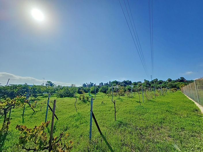 Image No.30-3 Bed Finca for sale