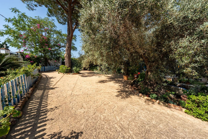 Image No.16-4 Bed Finca for sale