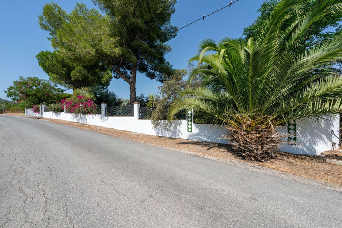 Image No.40-4 Bed Finca for sale