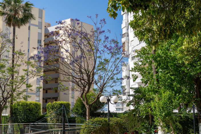 Image No.38-3 Bed Apartment for sale