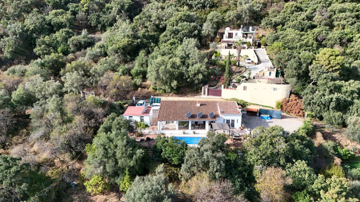 Image No.2-3 Bed Finca for sale