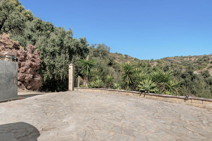Image No.24-3 Bed Finca for sale