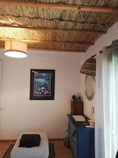 Image No.18-3 Bed Finca for sale