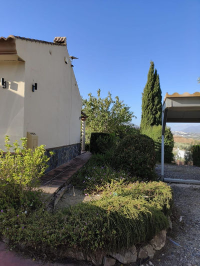 Image No.34-3 Bed Finca for sale