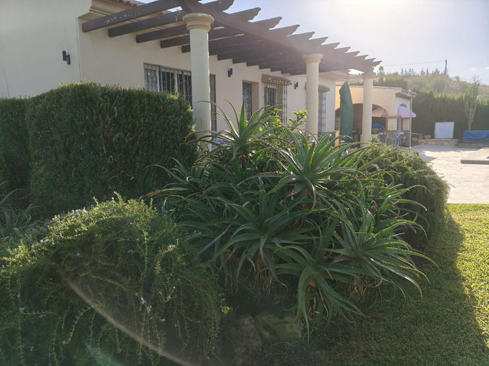 Image No.40-3 Bed Finca for sale