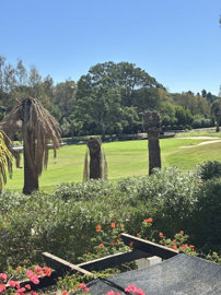 4-c23c0f86247804fa50226aecd8b0b2c8