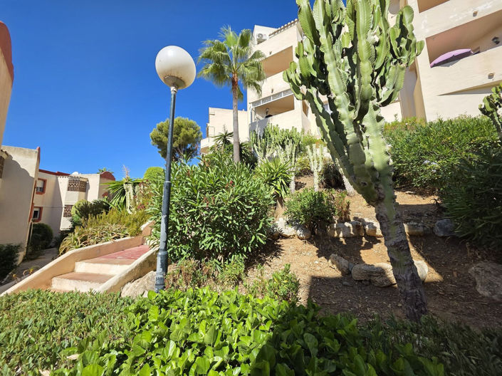 Image No.17-Appartement de 2 chambres à vendre à Riviera del Sol
