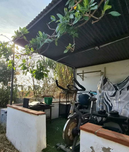 Image No.20-2 Bed Finca for sale