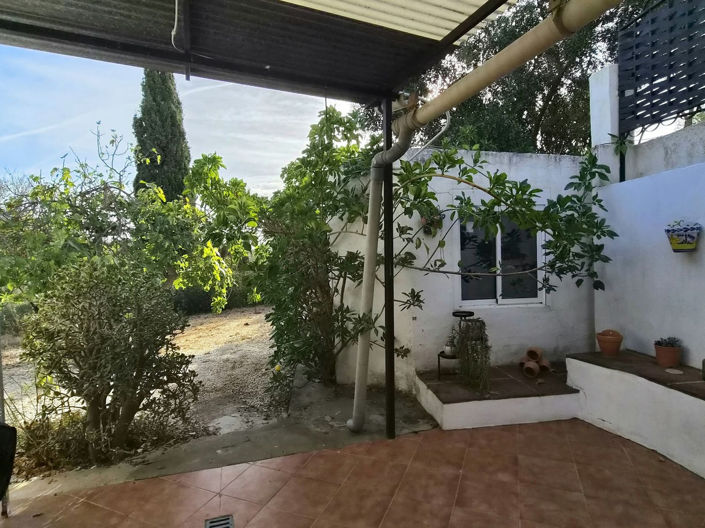 Image No.21-2 Bed Finca for sale
