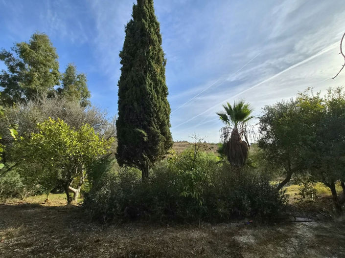 Image No.24-2 Bed Finca for sale