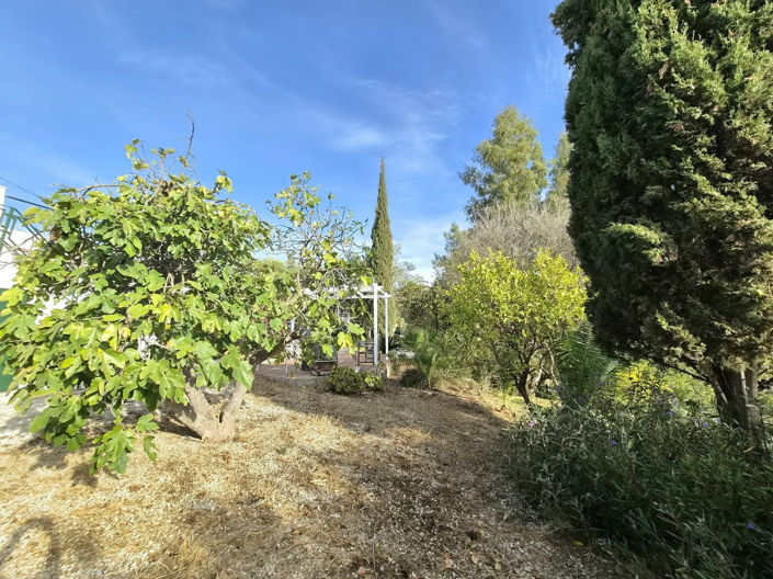 Image No.25-2 Bed Finca for sale