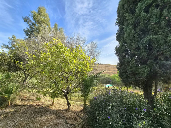 Image No.26-2 Bed Finca for sale