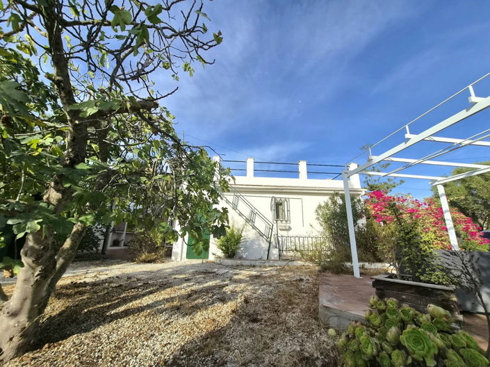 Image No.28-2 Bed Finca for sale