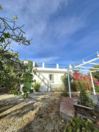 Image No.29-2 Bed Finca for sale