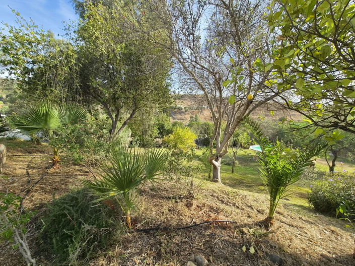 Image No.30-2 Bed Finca for sale