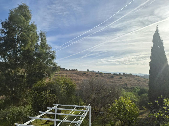 Image No.36-2 Bed Finca for sale