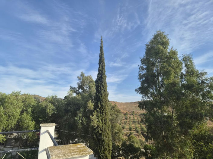 Image No.37-2 Bed Finca for sale