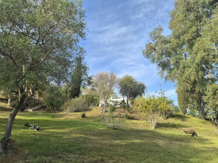 Image No.48-2 Bed Finca for sale