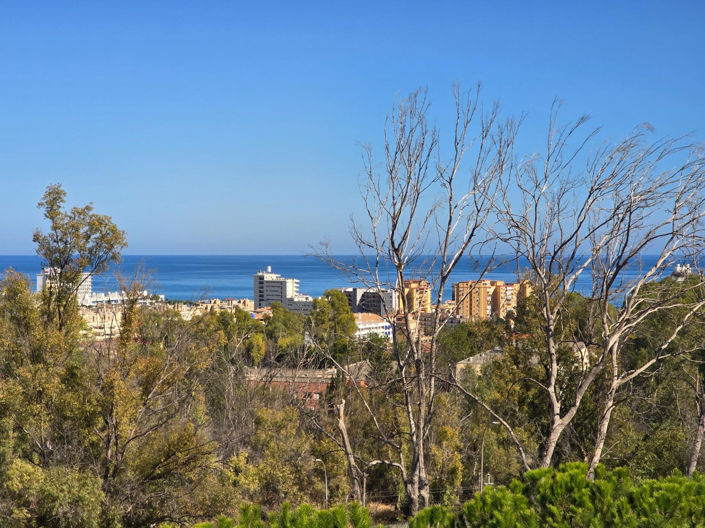 Image No.3-3 Bed Villa for sale